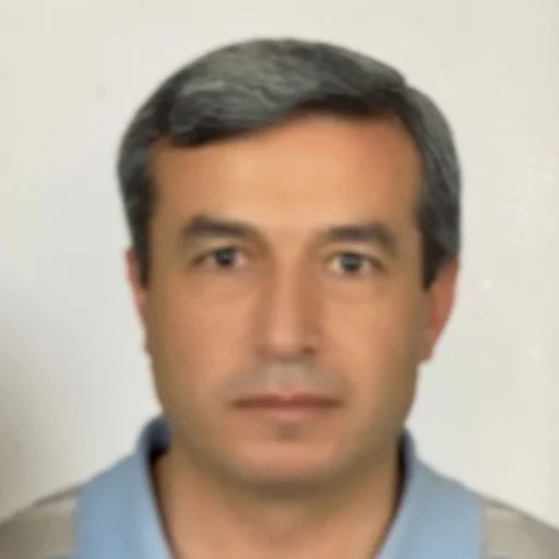 Erdal Avan