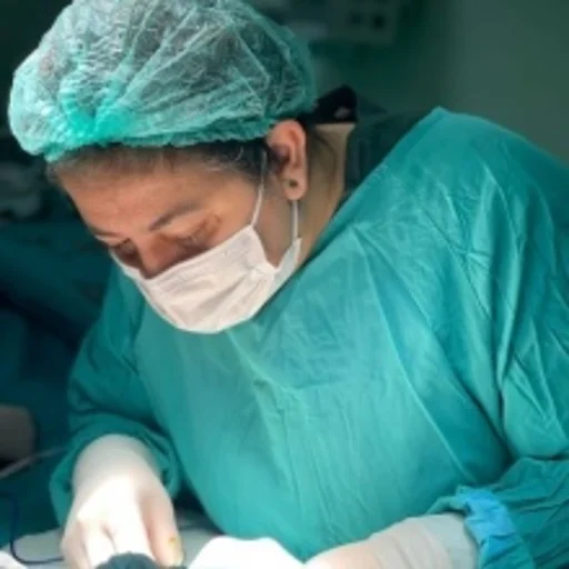 Hayriye Kıvılcım Akşit