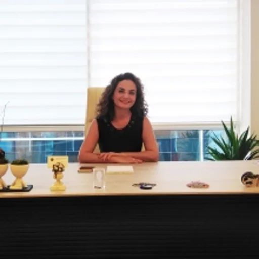 İlgen Ertam Sağduyu