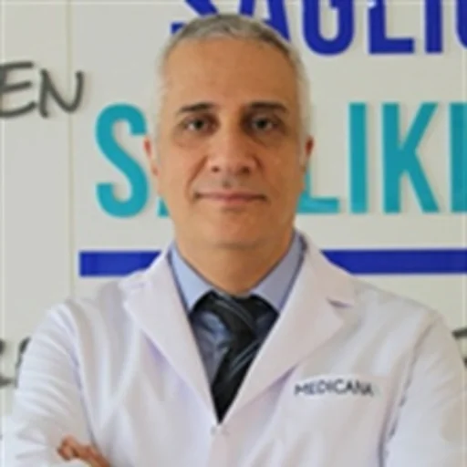Ahmet Levent Aydın