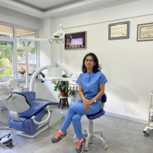 Nalan Erdoğan Akdemir