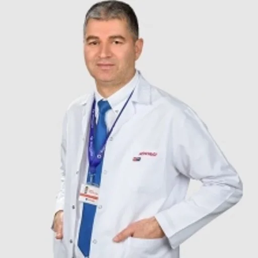 Hasan Küçükçelik