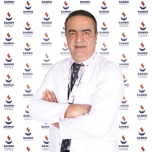Bülent Meşe