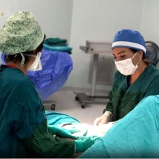 Hatice Bilkur Öztürk