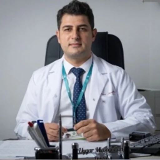 Uygar Miçooğulları