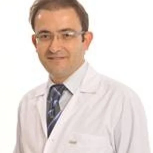 Mehmet Ardıç