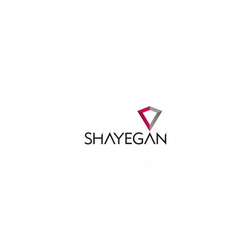 SHAYEGAN ELEKTRİK