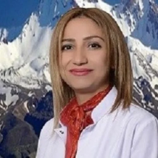 Meltem Silahlı