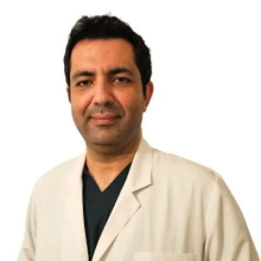 Mehmet Hakan Pıçak