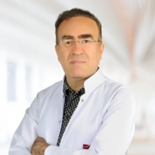 Ahmet Bülent Kargı