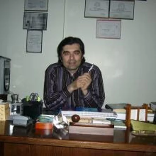 Mehmet Ali Bereketoğlu