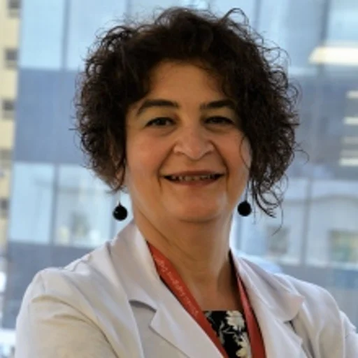 Dilek Necioğlu Örken