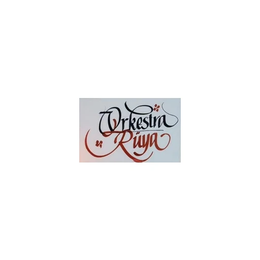 AYDIN ORKESTRA RÜYA NAZİLLİ ORKESTRA ORGANİZASYON SES IŞIK