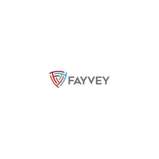 FAYVEY LLC
